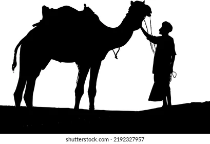 Royal Rajasthan Journeys icon